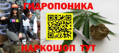 ГАЛЛЮЦИНОГЕННЫЕ ГРИБЫ Малгобек