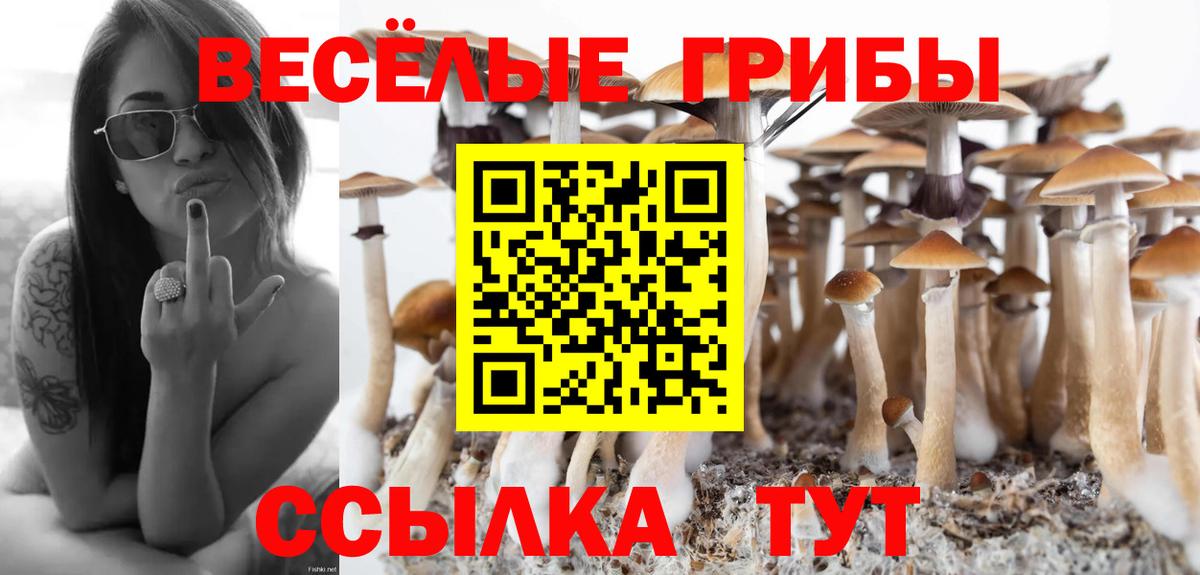 Губаха  Псилоцибиновые грибы Magic Shrooms  Псилоцибиновые грибы Cubensis  Вход с VPN 