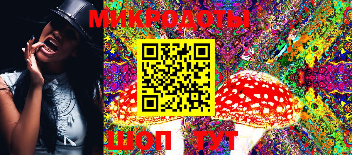 Псилоцибиновые грибы GOLDEN TEACHER Губаха